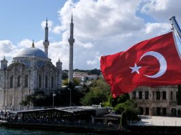 Unveiling Turkey's Economic Landscape A Comprehensive Overview