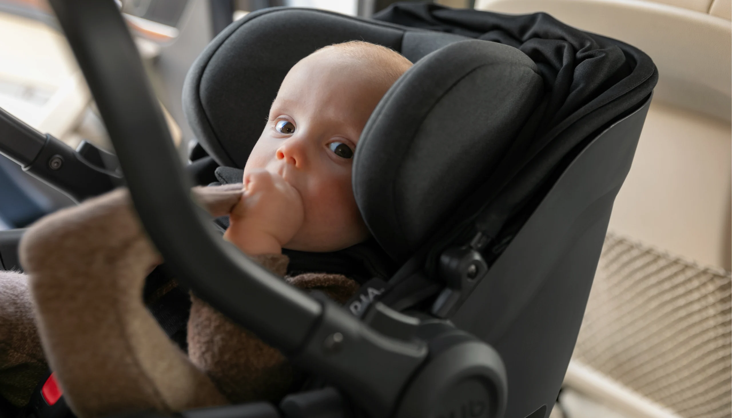 A baby plays with its clothing while securely buckled in an Aria car seat installed in a vehicle.