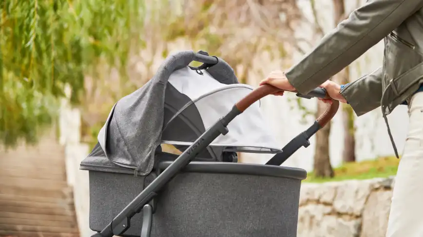 Parent pushes stroller with Bassinet attached